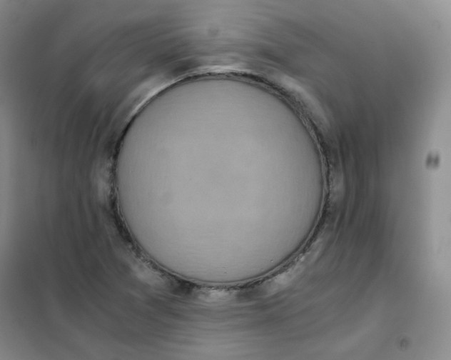 X0000101111361200807241126