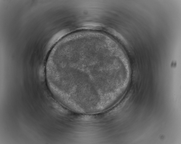 X0000101111362200807241126