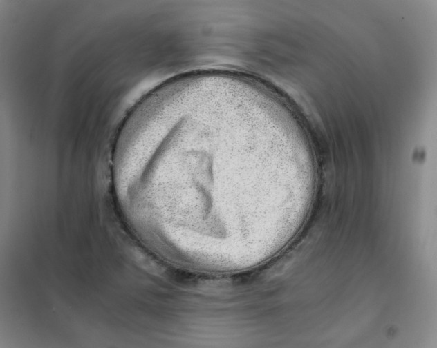 X0000101111363200807241126