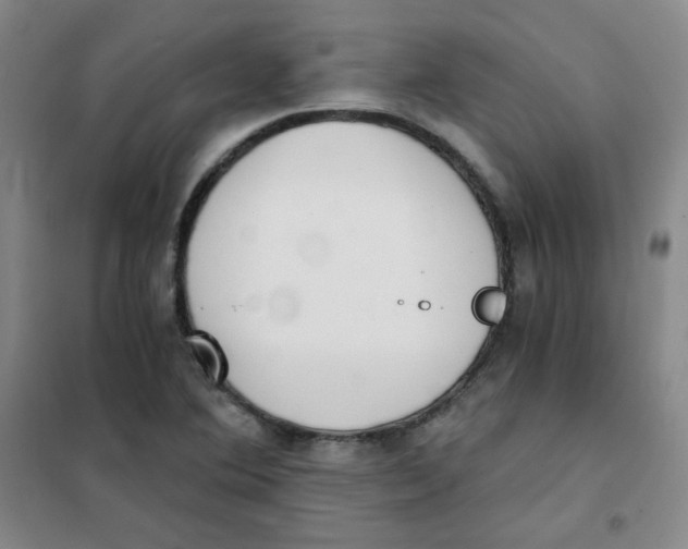 X0000101111364200807241126