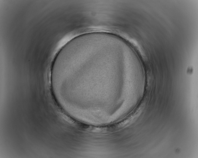 X0000101111365200807241126