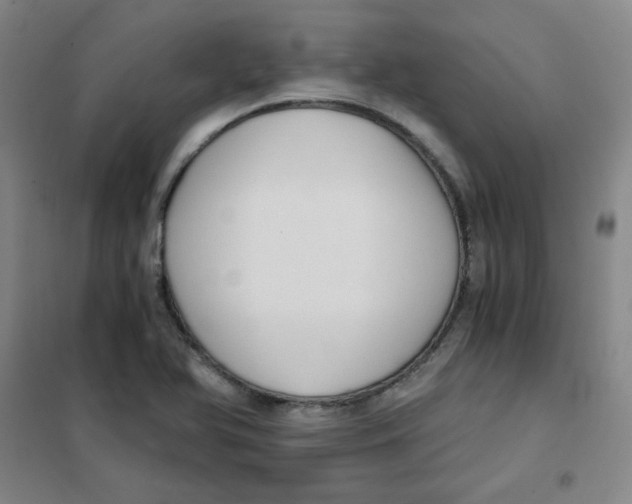 X0000101111366200807241126