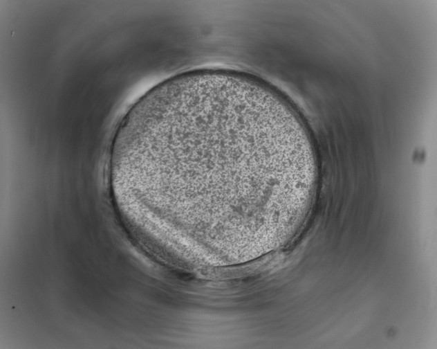 X0000101111367200807241126