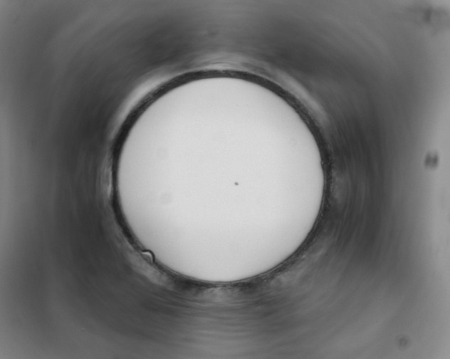 X0000101111368200807241126