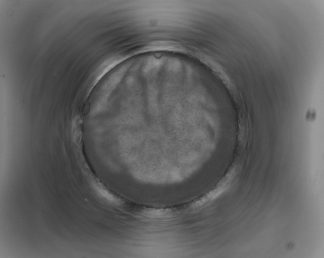 X0000101111369200807241126