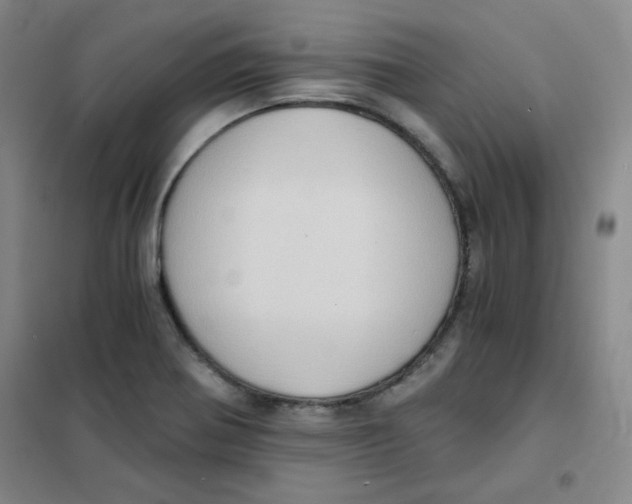 X0000101111370200807241126