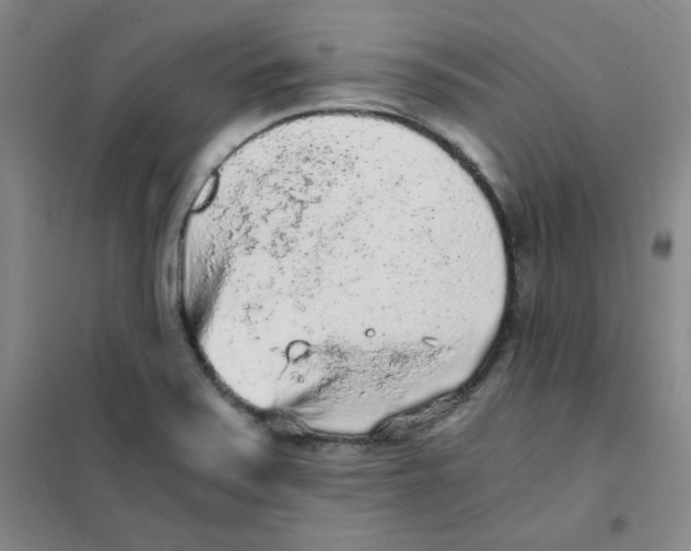 X0000101111371200807241126