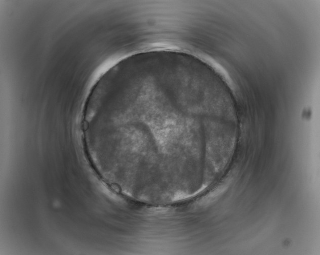 X0000101111373200807241126