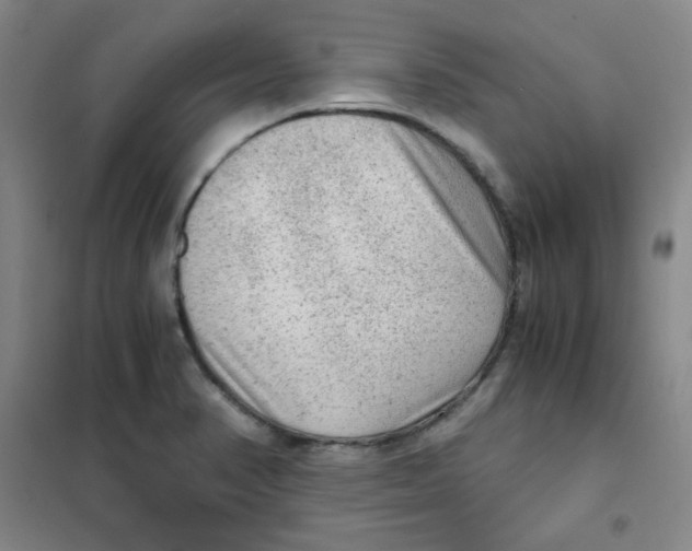 X0000101111374200807241125