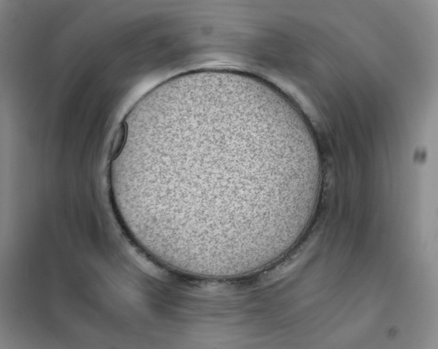 X0000101111375200807241125