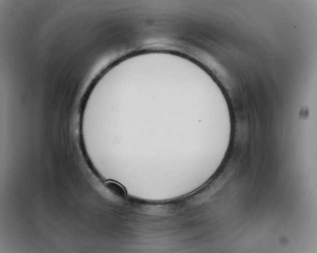 X0000101111376200807241125