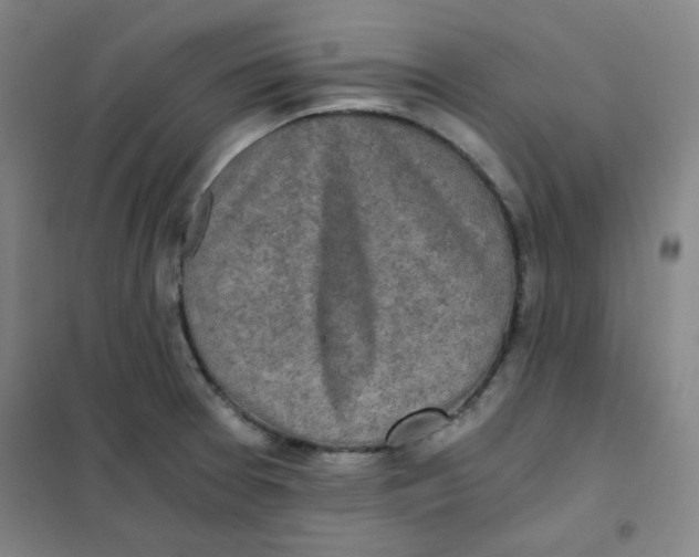 X0000101111377200807241125