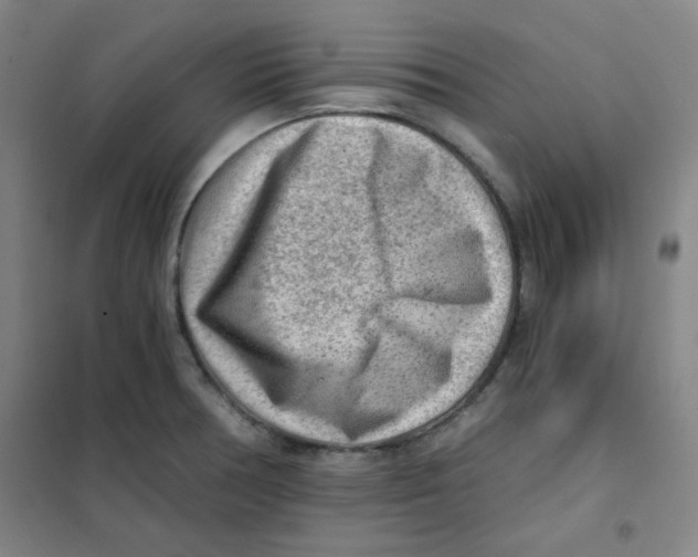 X0000101111378200807241125
