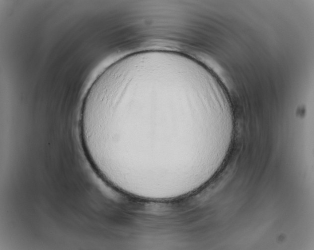 X0000101111379200807241125
