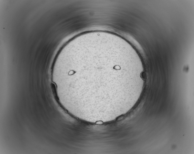 X0000101111380200807241125