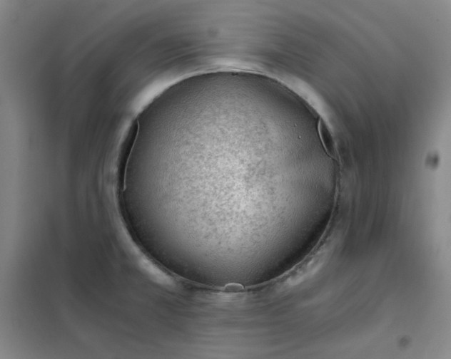 X0000101111381200807241125