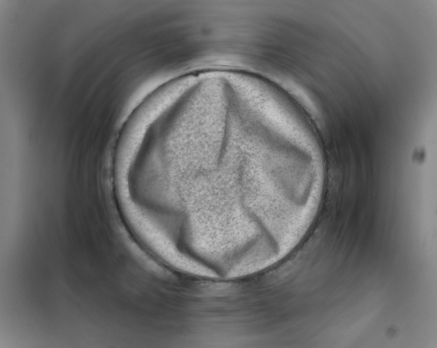 X0000101111382200807241125