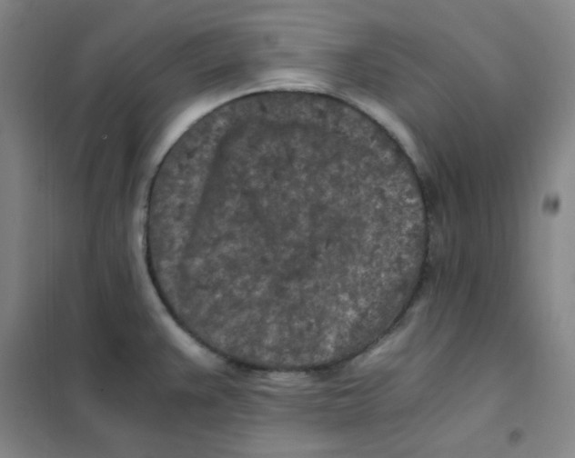 X0000101111383200807241125
