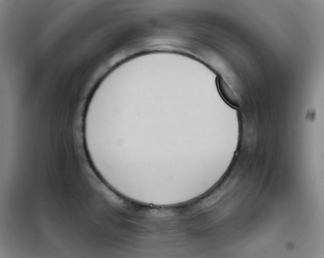 X0000101111384200807241125
