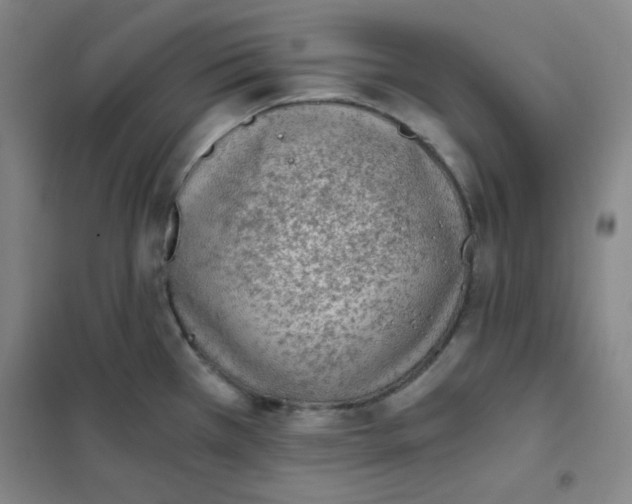 X0000101111385200807241125