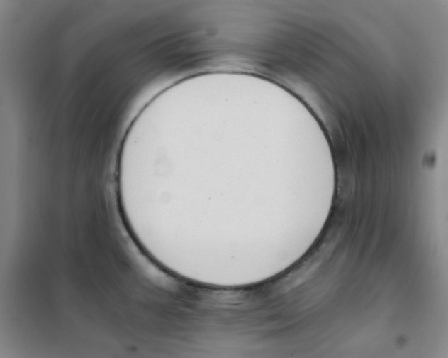 X0000101111387200807241125