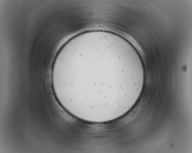 X0000101111388200807241125