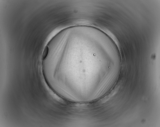 X0000101111389200807241125