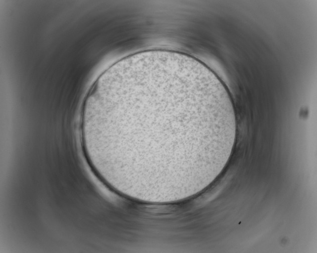 X0000101111391200807241125