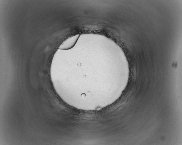 X0000101111393200807241124