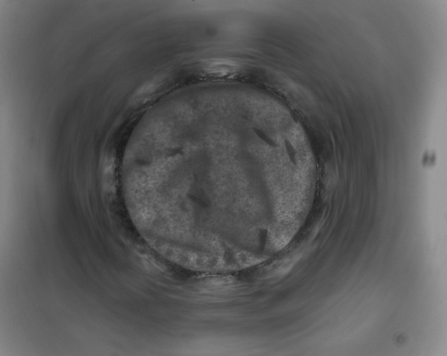 X0000101111394200807241124