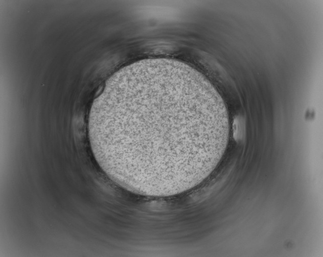 X0000101111395200807241124