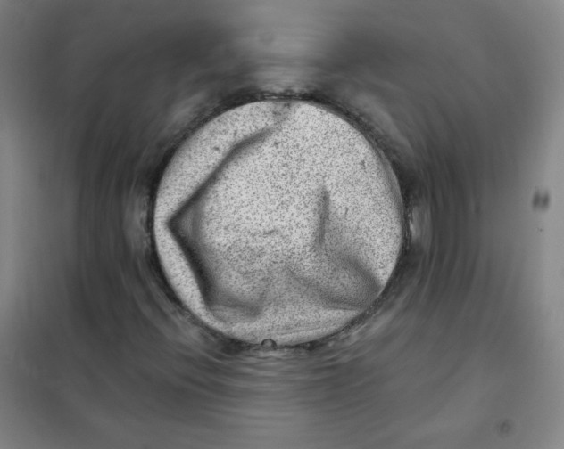 X0000101111396200807241124