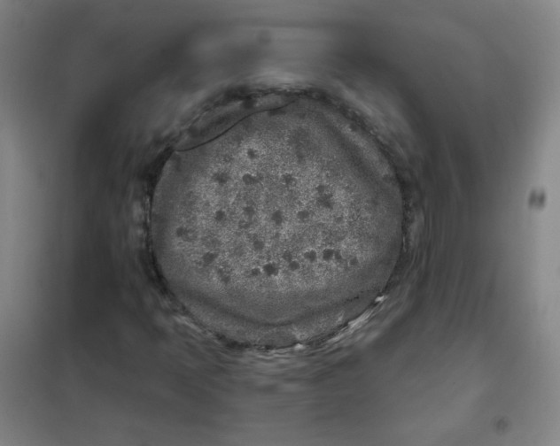 X0000101111397200807241124