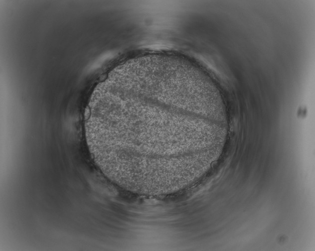 X0000101111398200807241124