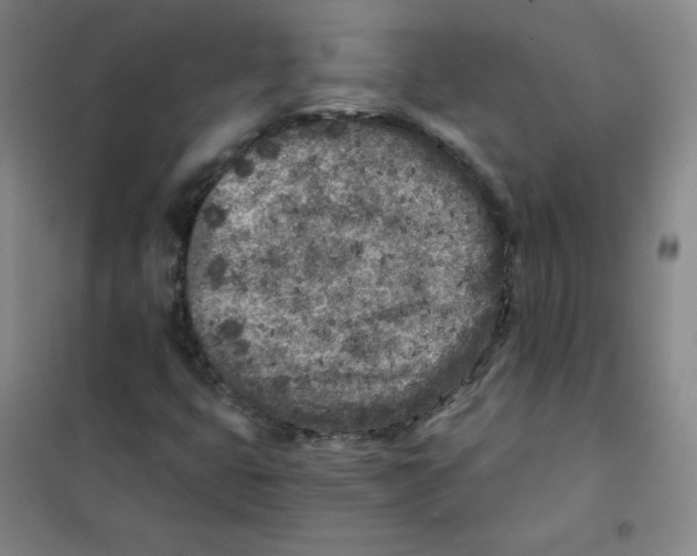 X0000101111399200807241124