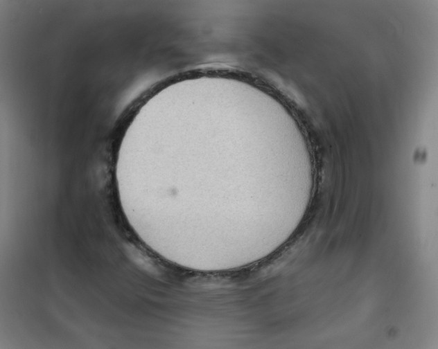 X0000101111400200807241125