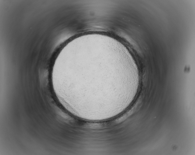 X0000101111402200807241125