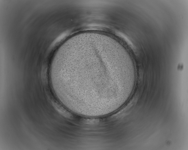 X0000101111403200807241125