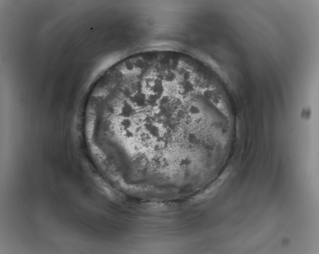 X0000101111405200807241125