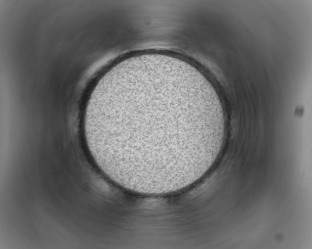 X0000101111406200807241125