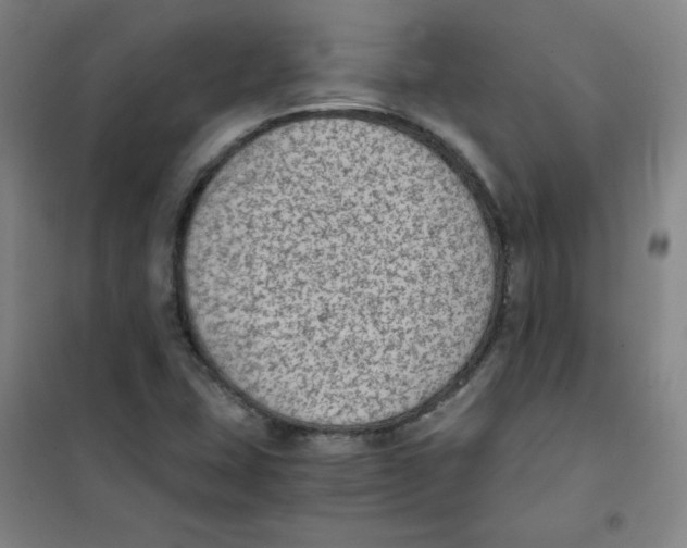 X0000101111407200807241125