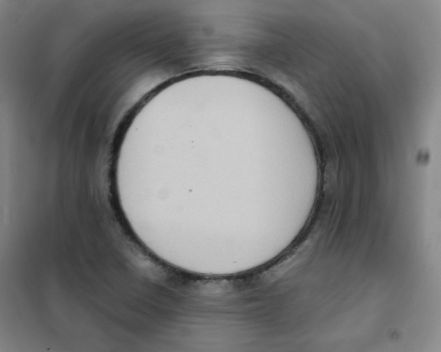 X0000101111410200807241125
