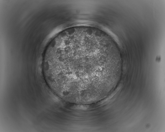 X0000101111411200807241125