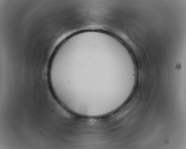 X0000101111412200807241125