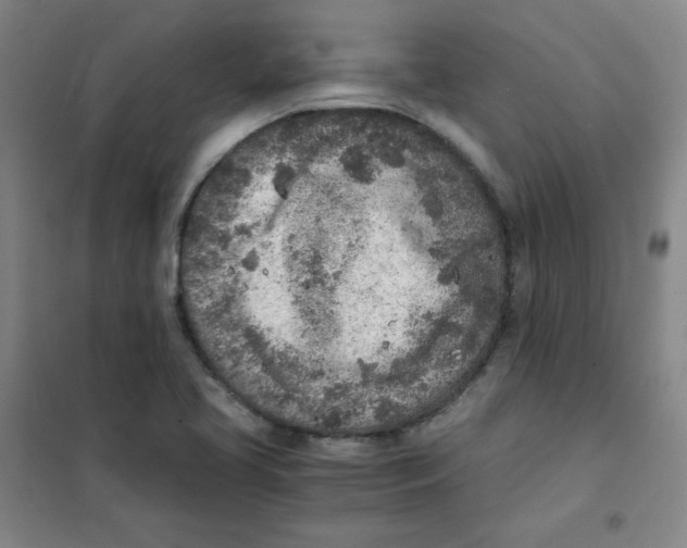 X0000101111413200807241125