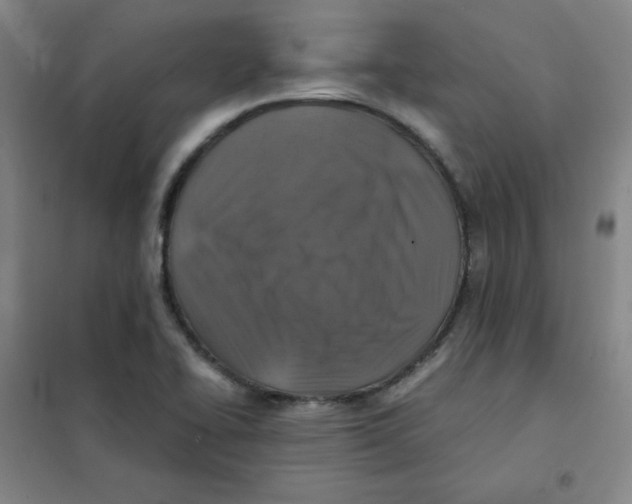 X0000101111414200807241125
