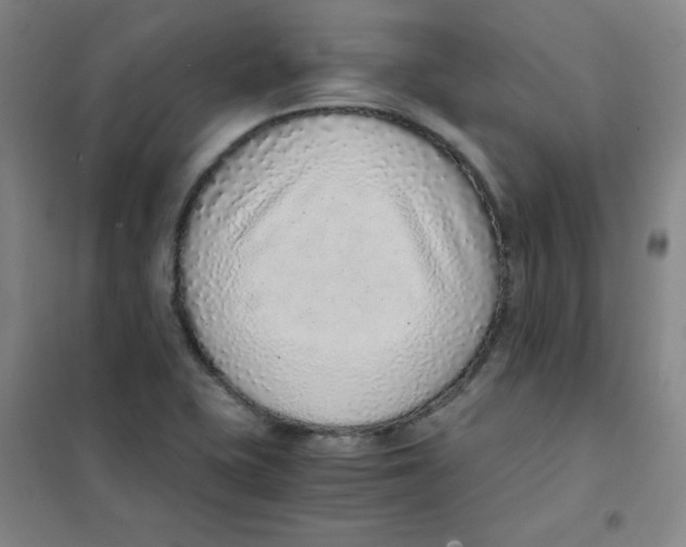 X0000101111415200807241125