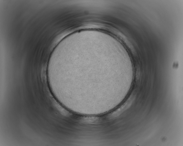 X0000101111417200807241125