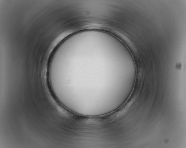X0000101111418200807241125