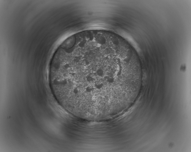 X0000101111419200807241125